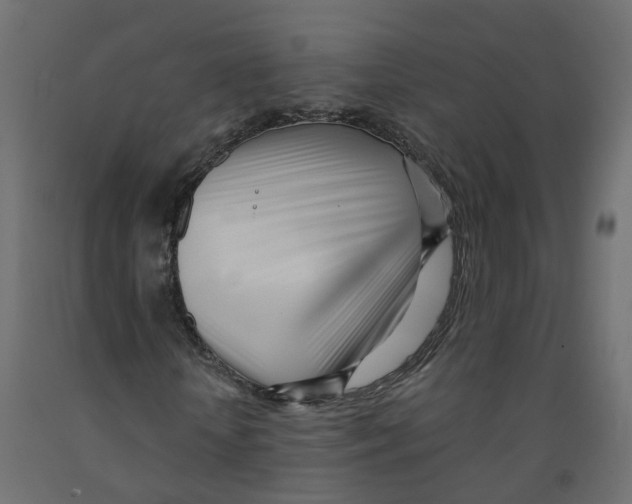 X0000091970818200710041047