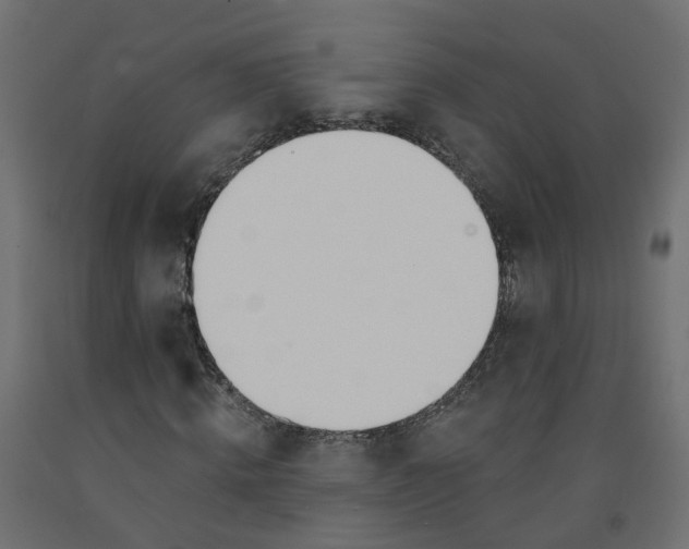X0000091970820200710041047