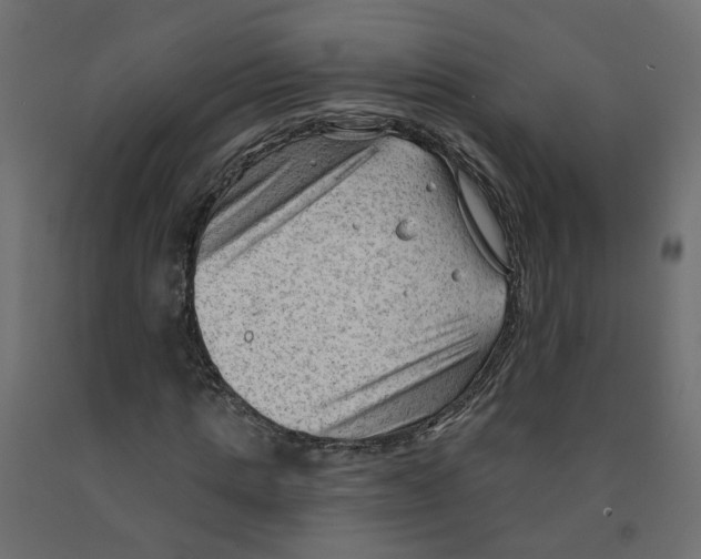 X0000091970821200710041047