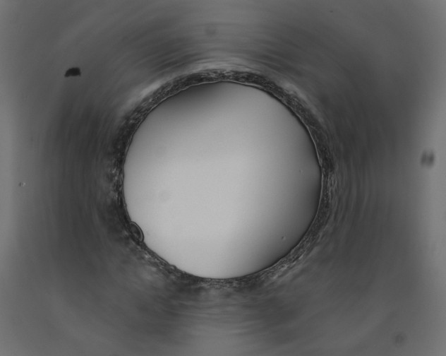 X0000091970822200710041047