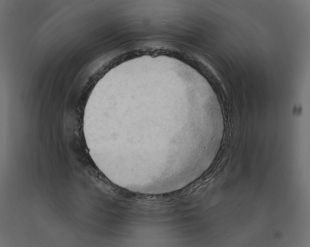 X0000091970823200710041047