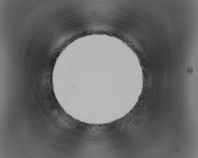 X0000091970824200710041047