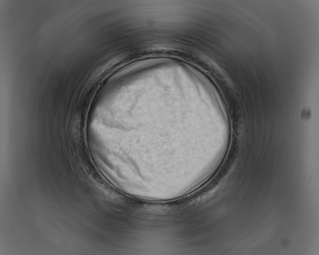 X0000091970825200710041047