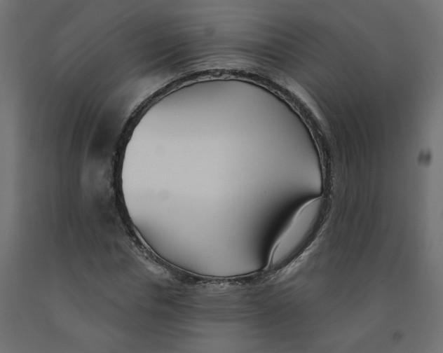 X0000091970826200710041047