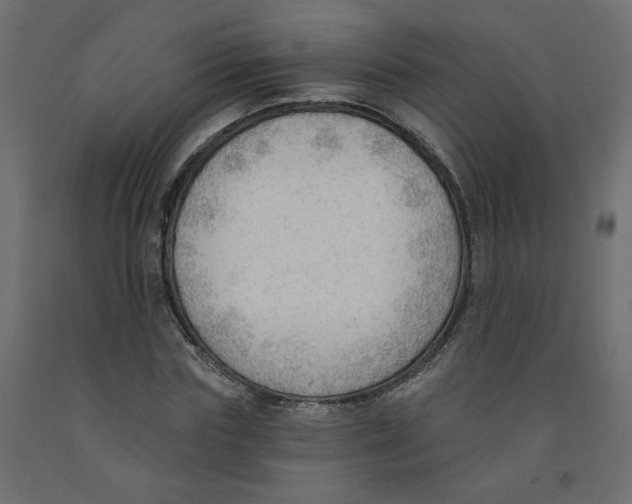 X0000091970827200710041047