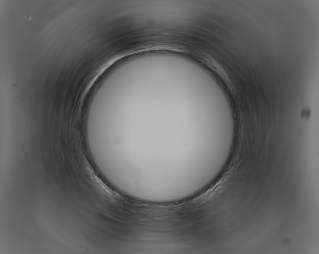 X0000091970828200710041047