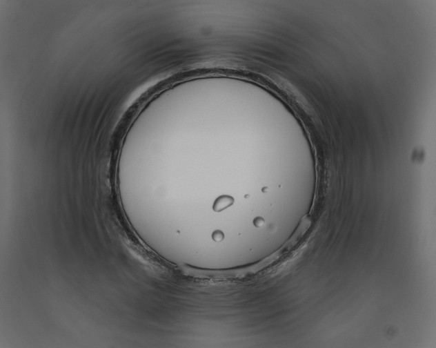 X0000091970830200710041047
