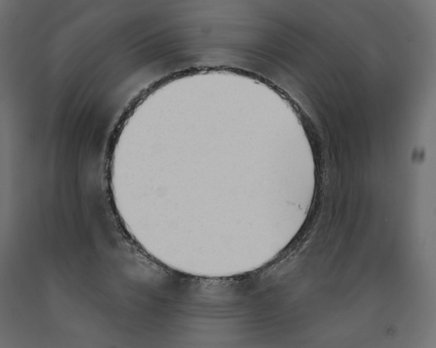 X0000091970832200710041047