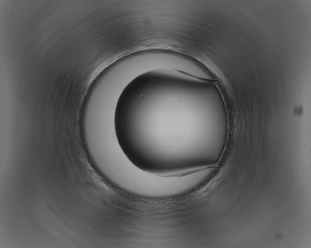 X0000091970834200710041047