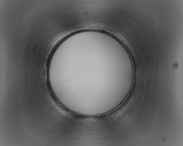 X0000091970838200710041047