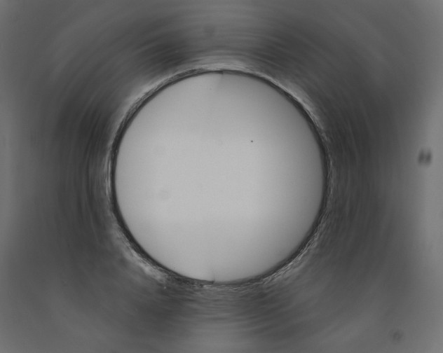 X0000091970840200710041047