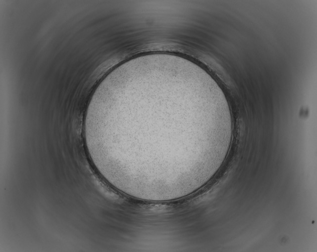 X0000091970841200710041047