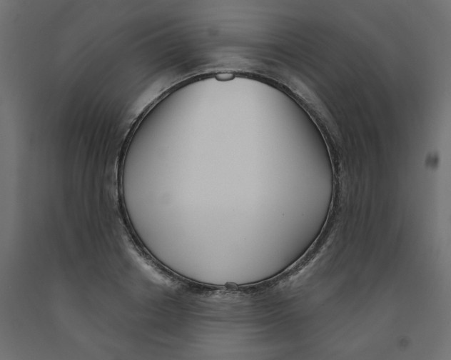 X0000091970842200710041047