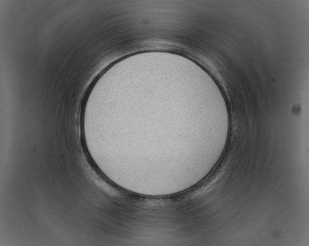 X0000091970843200710041047