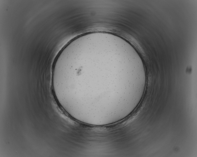 X0000091970844200710041047