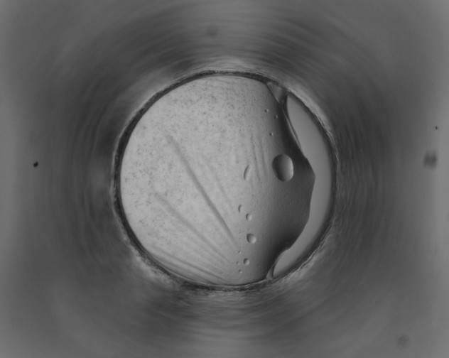 X0000091970845200710041047