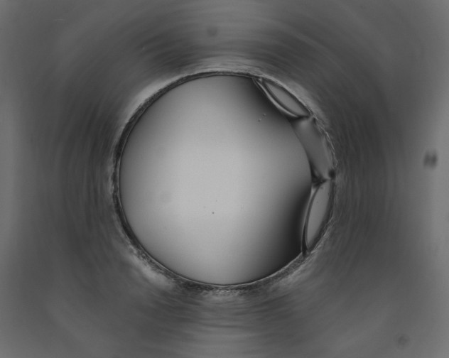 X0000091970846200710041047