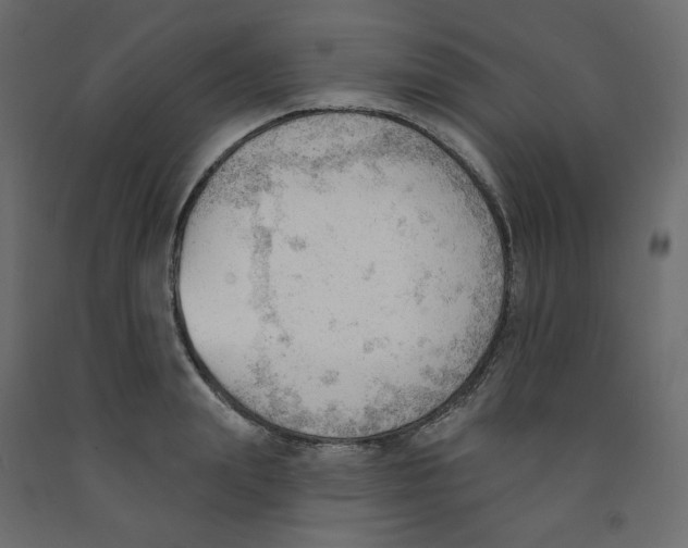 X0000091970847200710041047