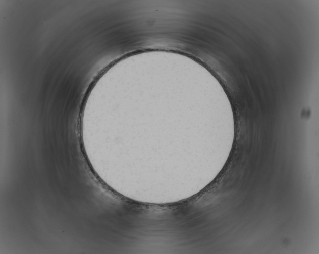 X0000091970848200710041047
