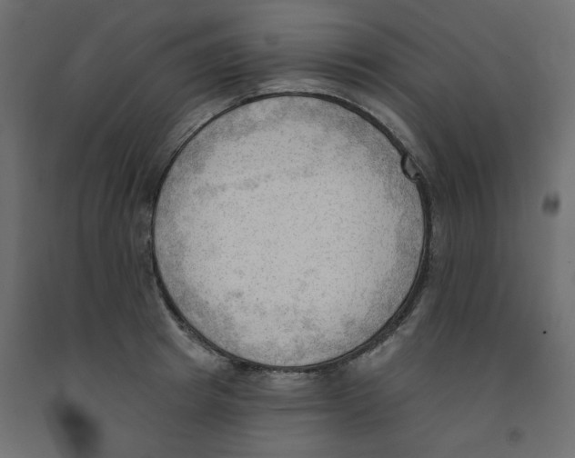 X0000091970849200710041047