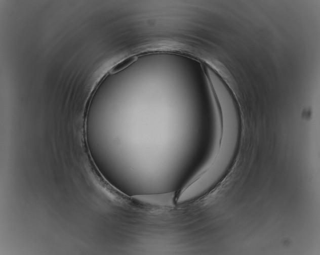 X0000091970850200710041047