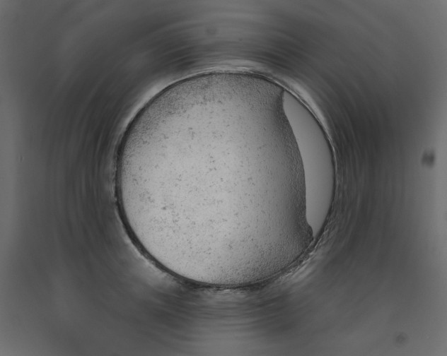 X0000091970851200710041047