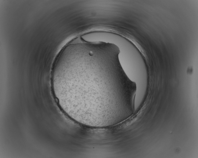 X0000091970853200710041047