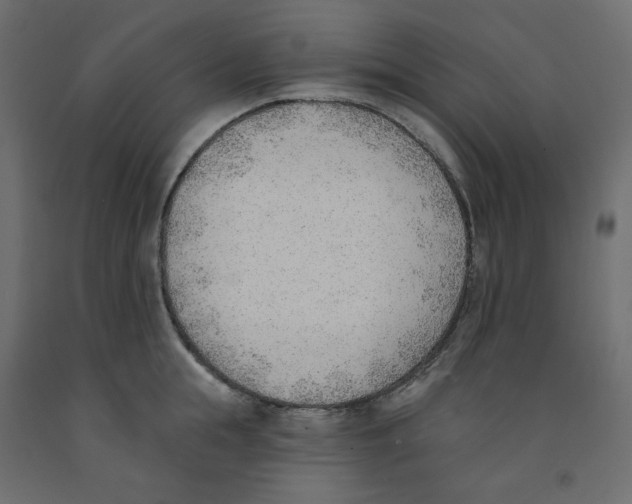 X0000091970855200710041047