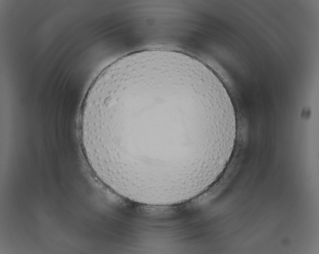 X0000091970856200710041047