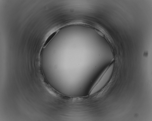 X0000091970858200710041047