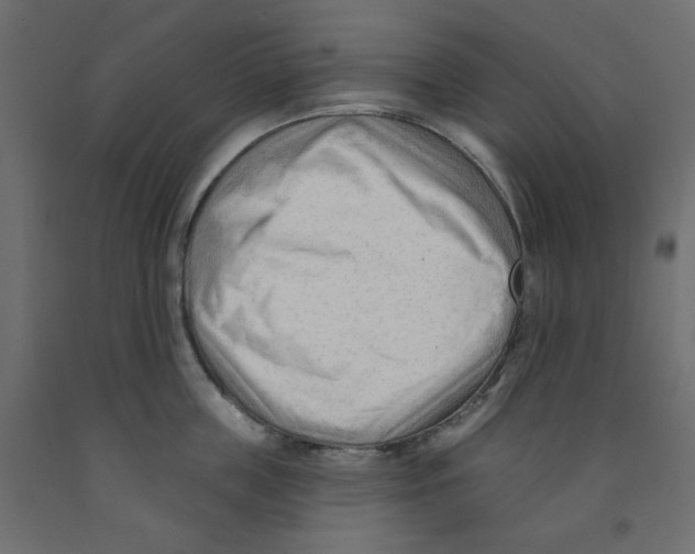 X0000091970859200710041047
