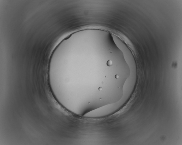 X0000091970860200710041047