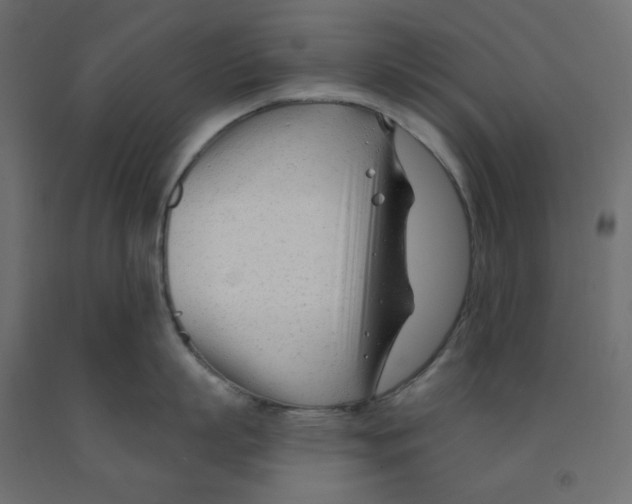 X0000091970863200710041047