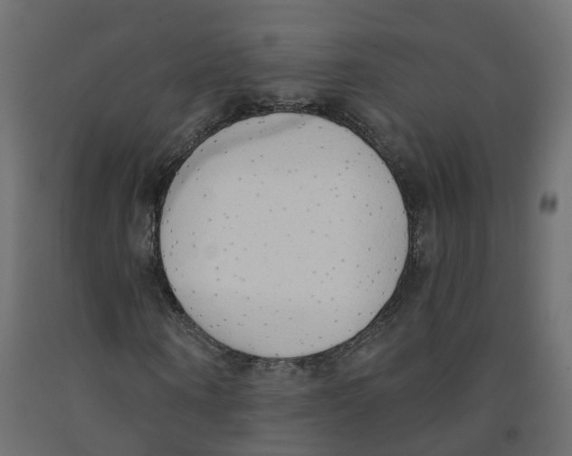 X0000091970866200710041047
