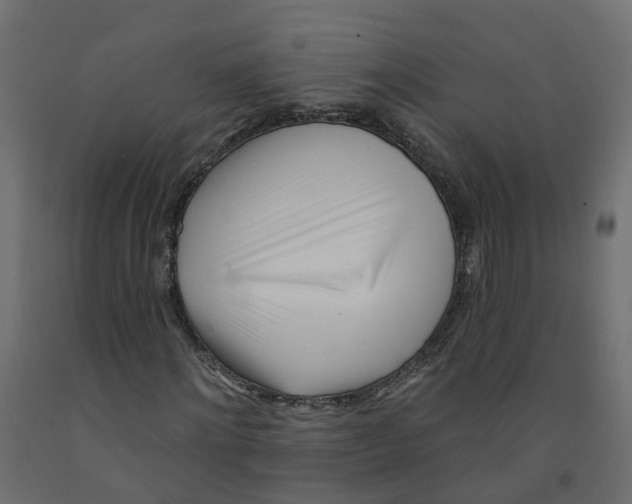 X0000091970868200710041047