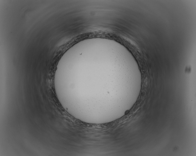 X0000091970869200710041047