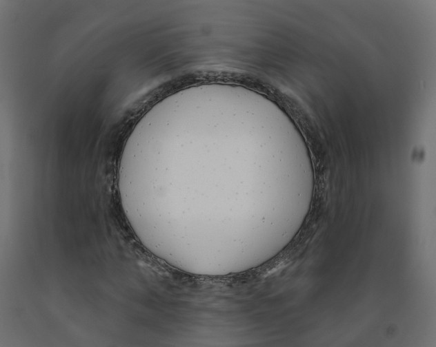 X0000091970870200710041047