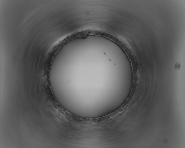 X0000091970872200710041047