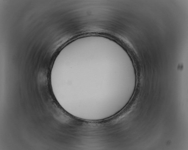 X0000091970873200710041047