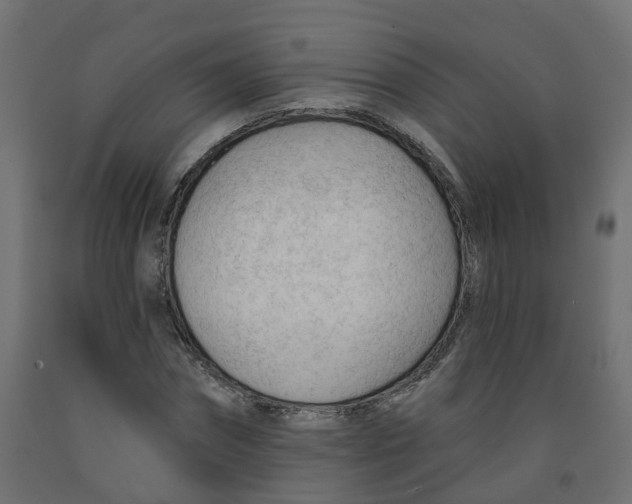 X0000091970874200710041047