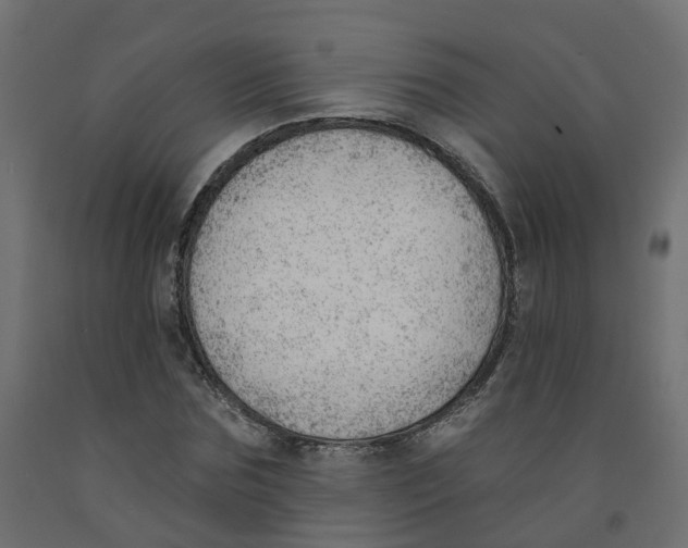 X0000091970875200710041047