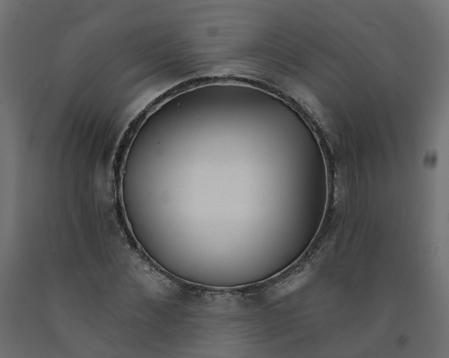 X0000091970876200710041047