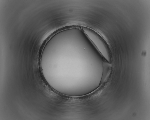 X0000091970877200710041047