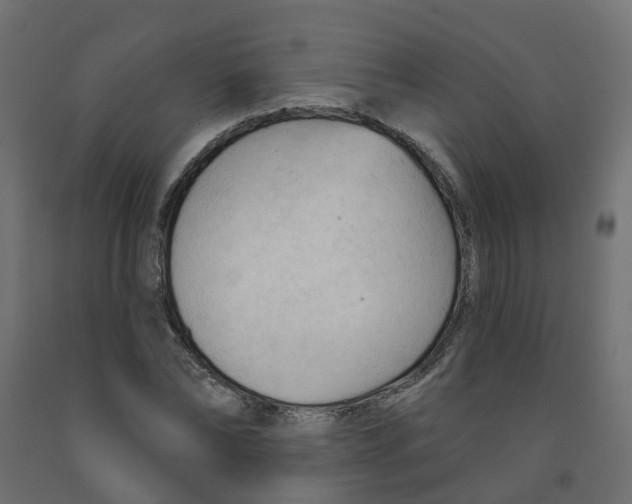 X0000091970878200710041047