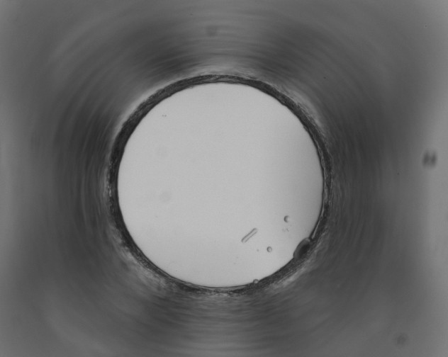 X0000091970880200710041047