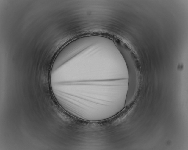 X0000091970881200710041047