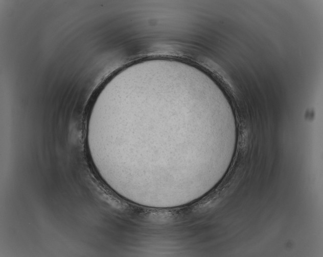 X0000091970882200710041047