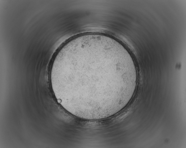 X0000091970883200710041047