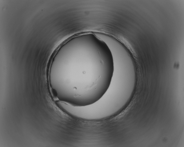 X0000091970884200710041047