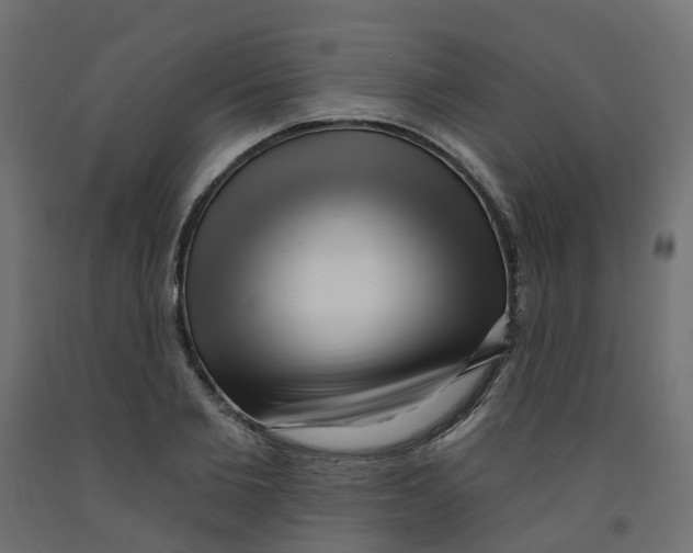 X0000091970885200710041046
